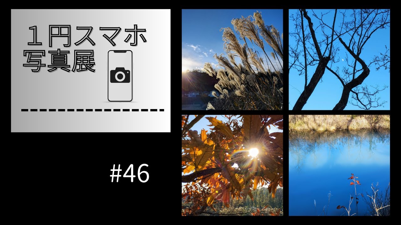 １円スマホ 写真展 #46　晩秋・冬