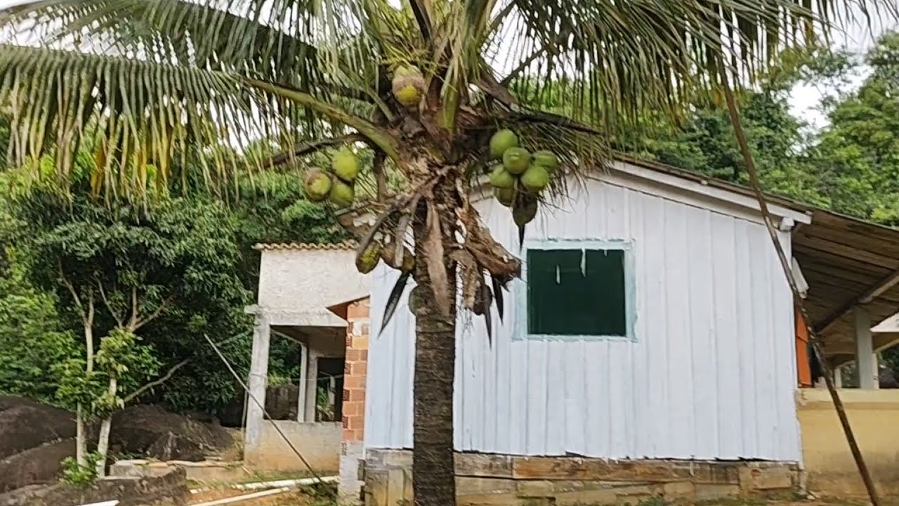 💢VENDIDO💢  SITIO EM SANTA LEOPOLDINA/ES COM POÇO DE PEIXES E NASCENTE 9MIL M2 @gilberto paraiso
