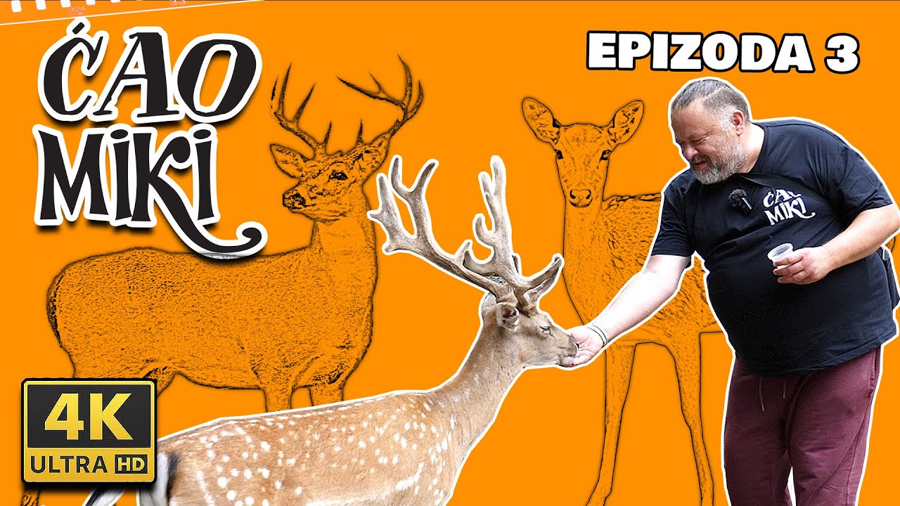 ZA NE POVJEROVATI! Safari u Bosni, 150 jelena i ostale divljači blizu grada!