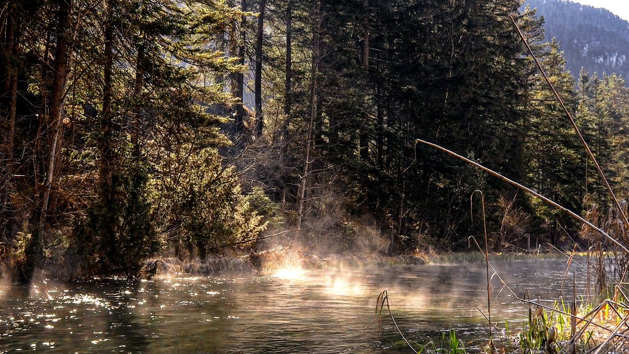 Fliegenfischen am Wiesenbach und See in Österreich | Bachforelle | Döbel | Regenbogenforelle