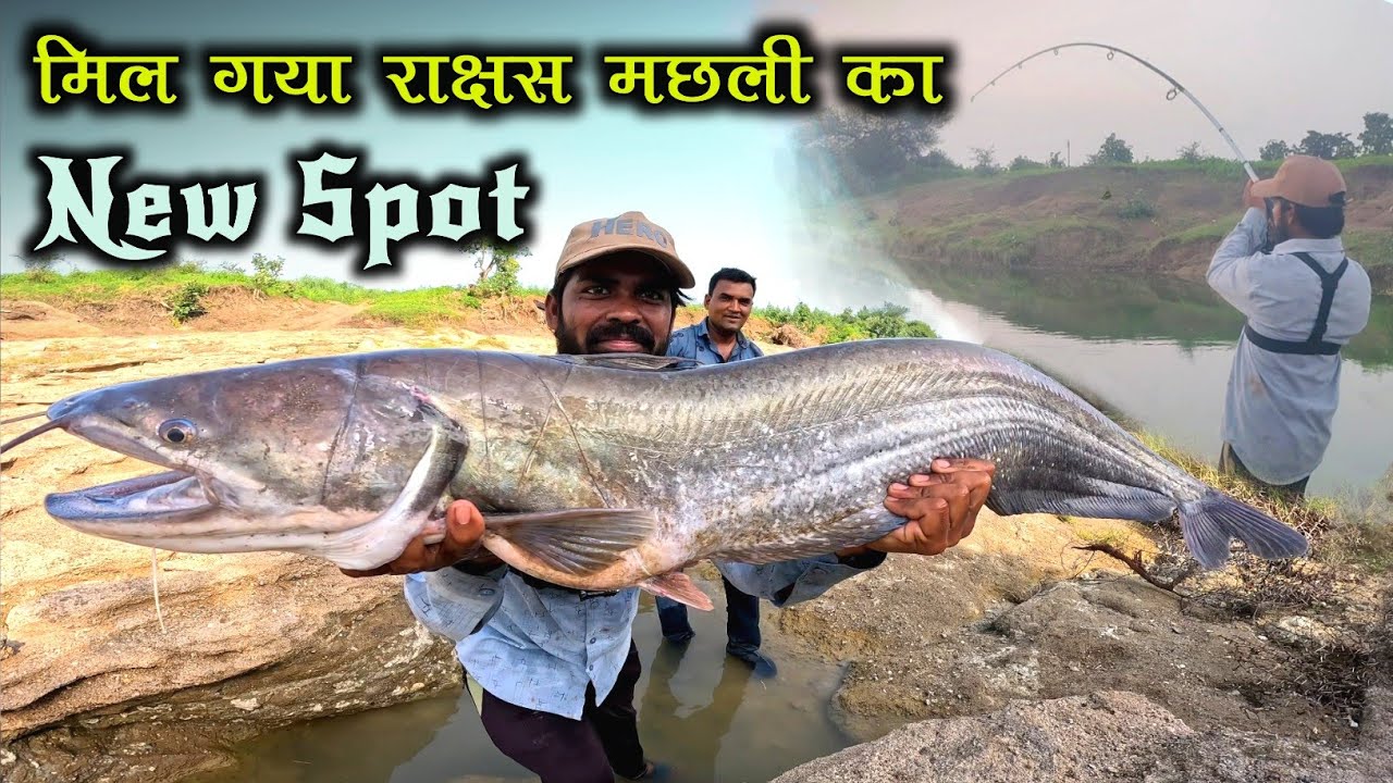 Record Size Monster 👹 Pathan fishing || Big Catfish catch | fishing video | Spoon fishing | Angler