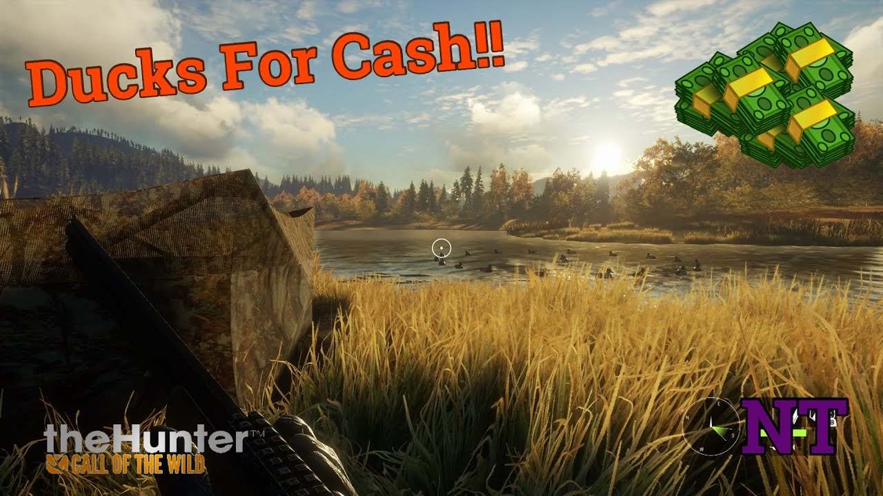 How to Hunt Ducks for Cash TheHunter Call of the Wild