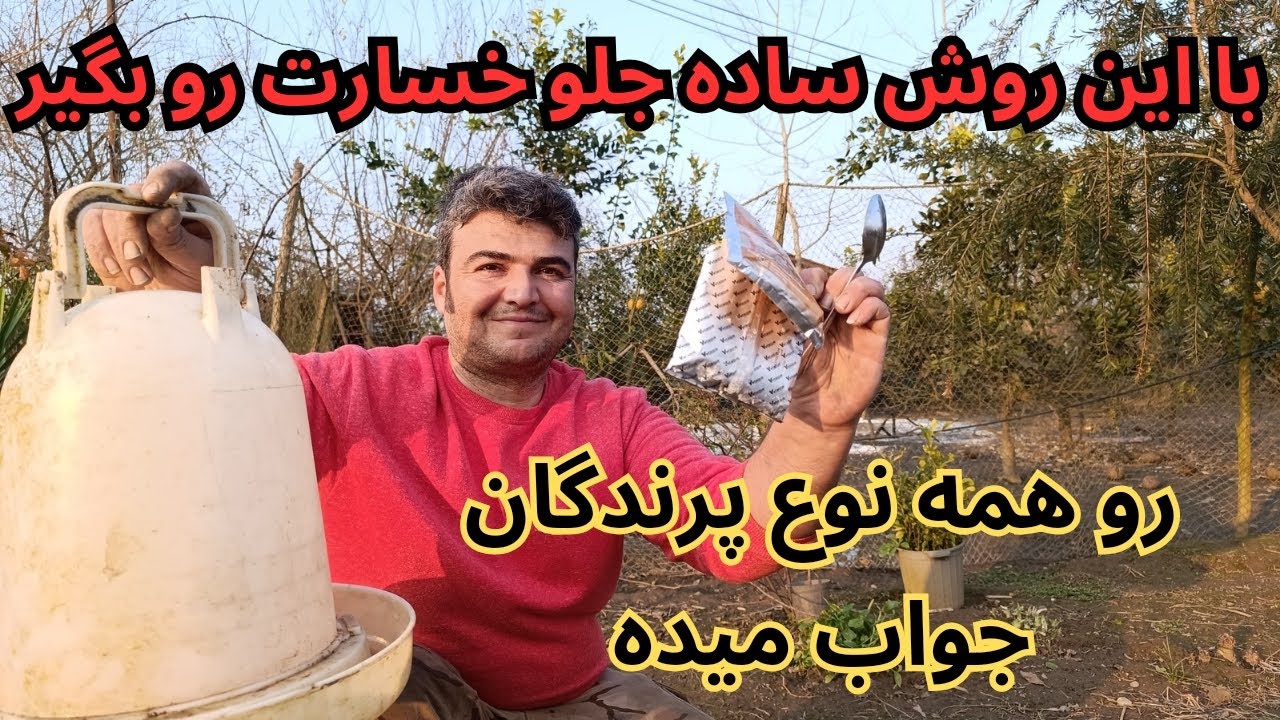 پرنده ها مریض را  چطوری درمان کنیم که با هزینه کم همه نجات پیدا کنند