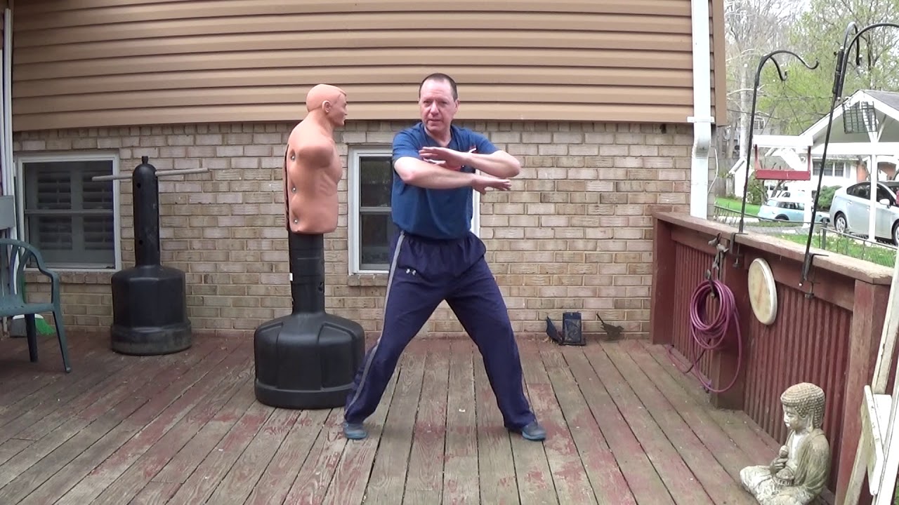Lesson 17:  Sup Ji Choi and Wing Chun Boxing
