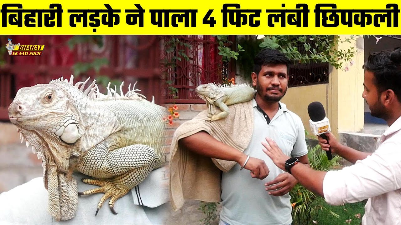 बिहारी लड़के ने पाला 4 फिट लंबी छिपकली | Bharat Ek Nayi Soch
