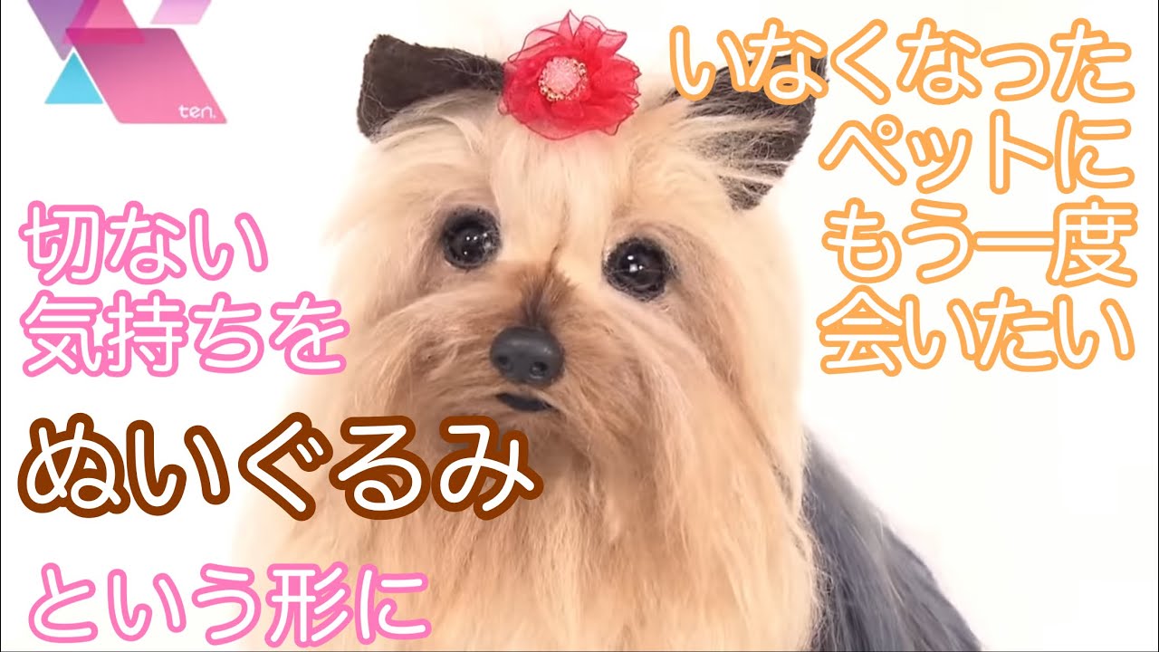 いなくなったペットにもう一度会いたい…切ない気持ちを「ぬいぐるみ」という形に