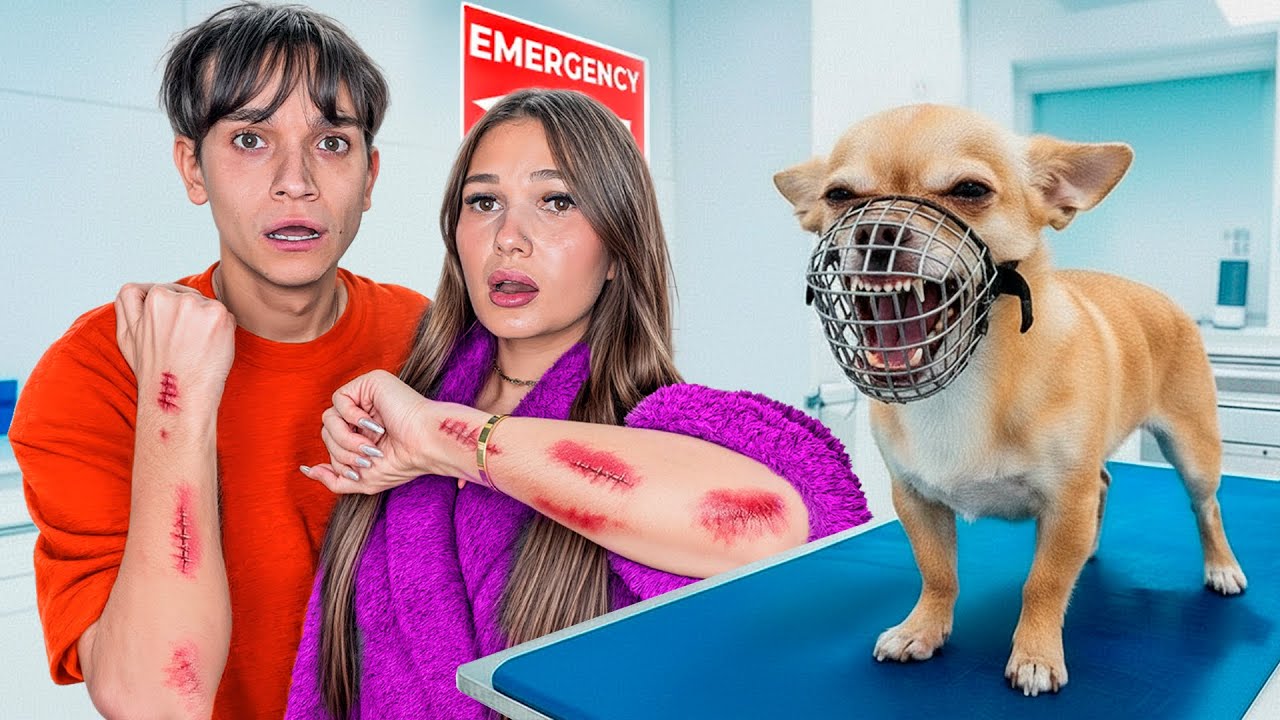 Our Dog Keeps Biting Us.. HELP!