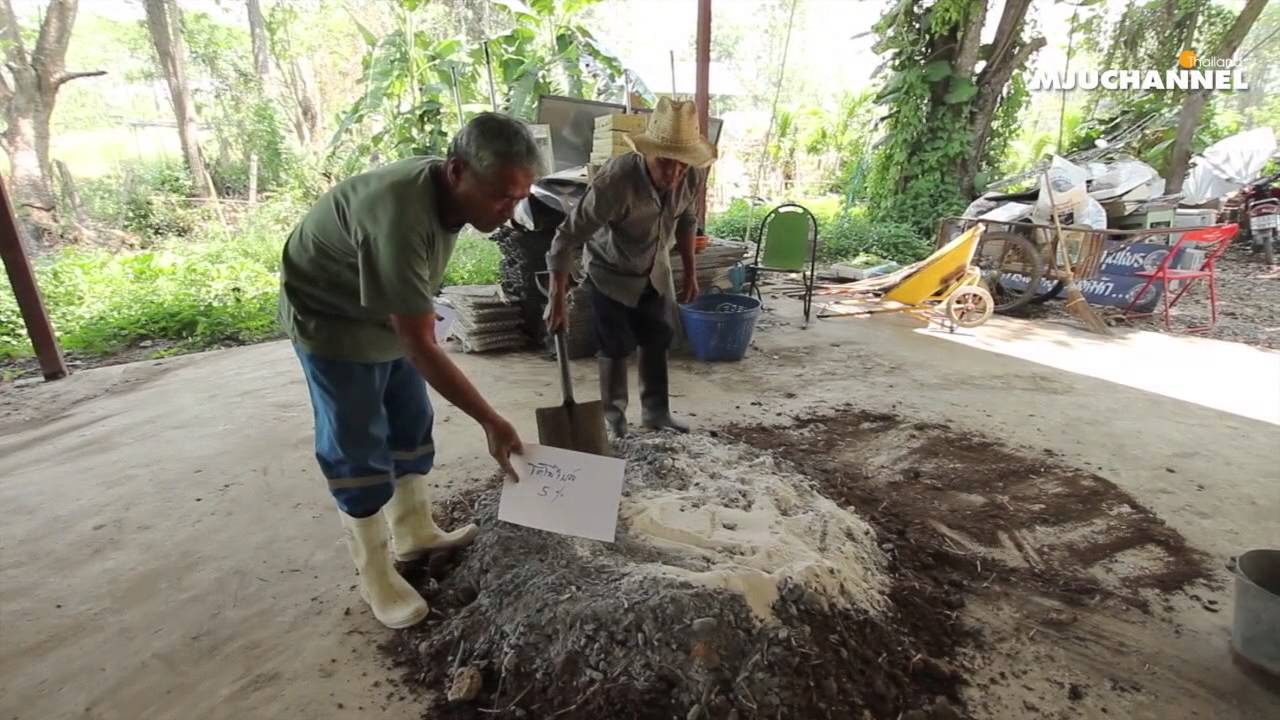 ปราชญ์แม่โจ้ - ตอน วิธีทำปุ๋ยชีวภาพคุณภาพสูง