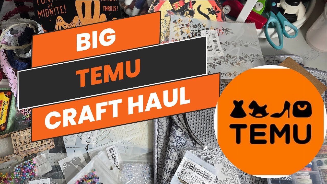 Temu Haul: Unveiling My Largest Collection