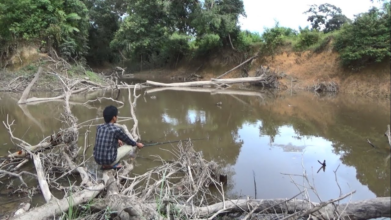 mancing di sungai keruh #MancingIkanLais