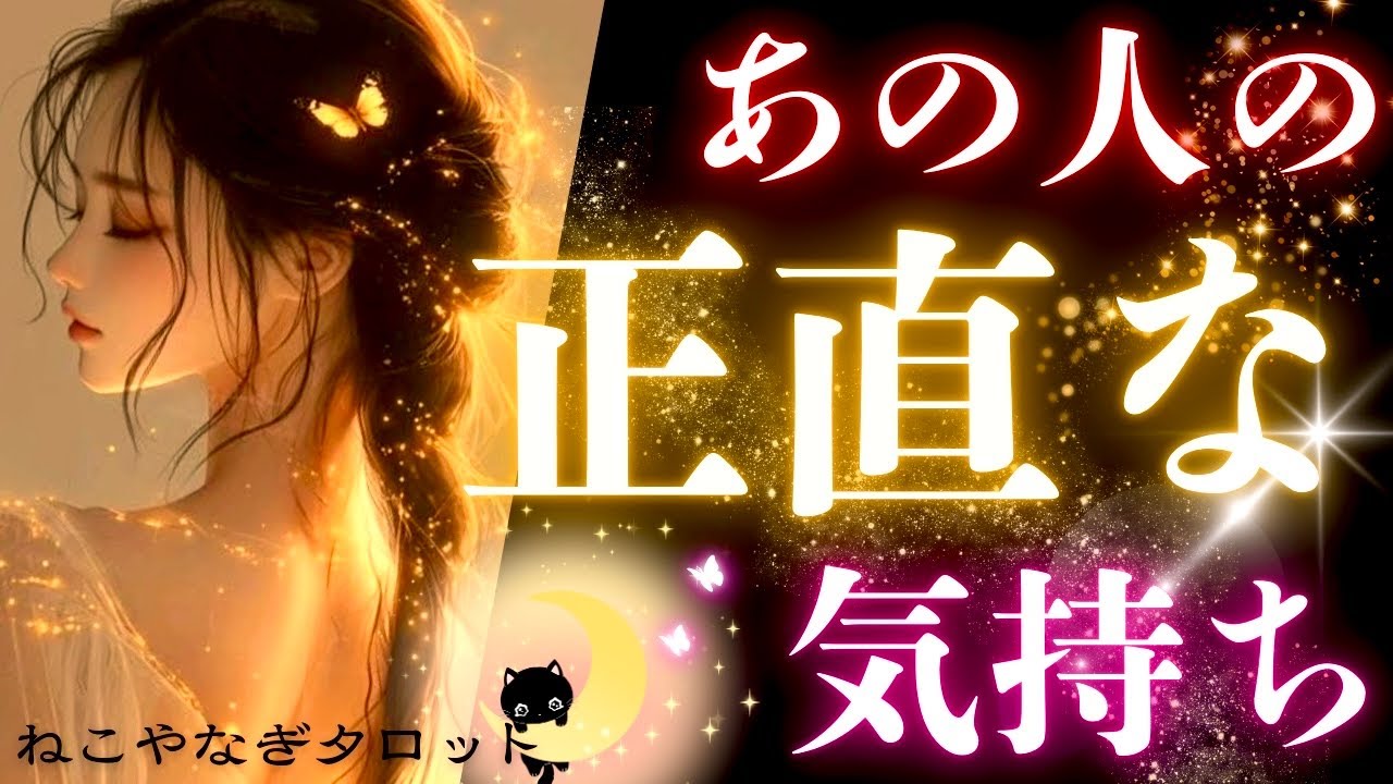 【タロット】あの人の正直な気持ち占いました🐈‍⬛🌙ฅ゛