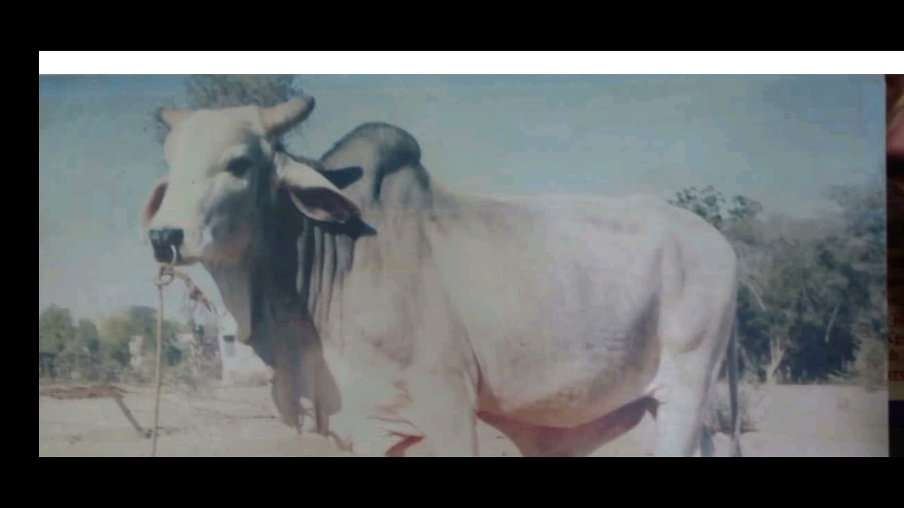 LPM SPOTTING QUICK REVISION