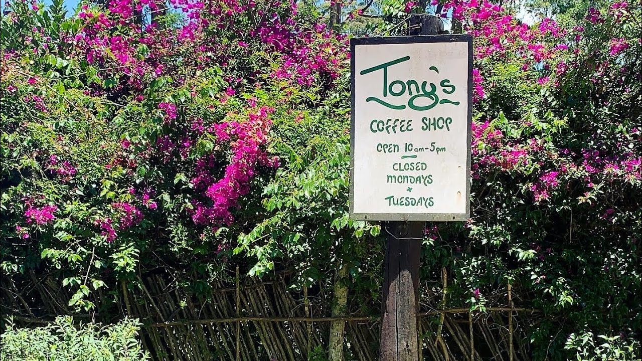 Tony’s Coffee Shop: Bvumba