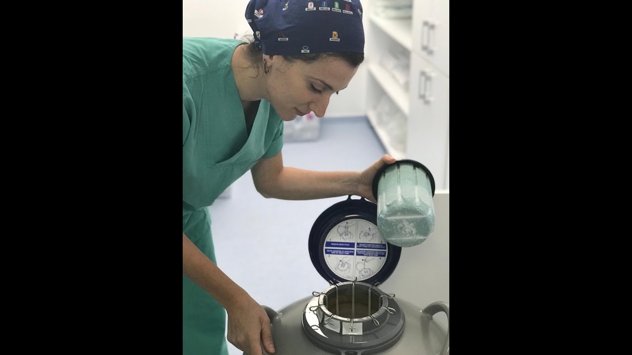 Embriyo dondurma: vitrifikasyon ve ötesi Embryo cryopreservation: vitrification and beyond