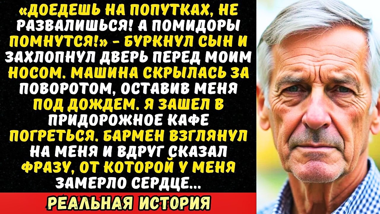 «Вылезай, дед, нам нужно место для рассады!» — сын высадил меня на трассе за 100 км от дома.