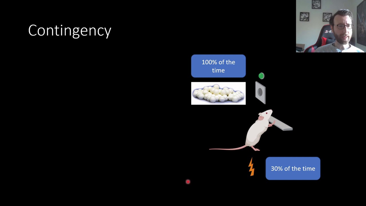 PSY313 CH6PT3: Factors Influencing Effectiveness of Punishment