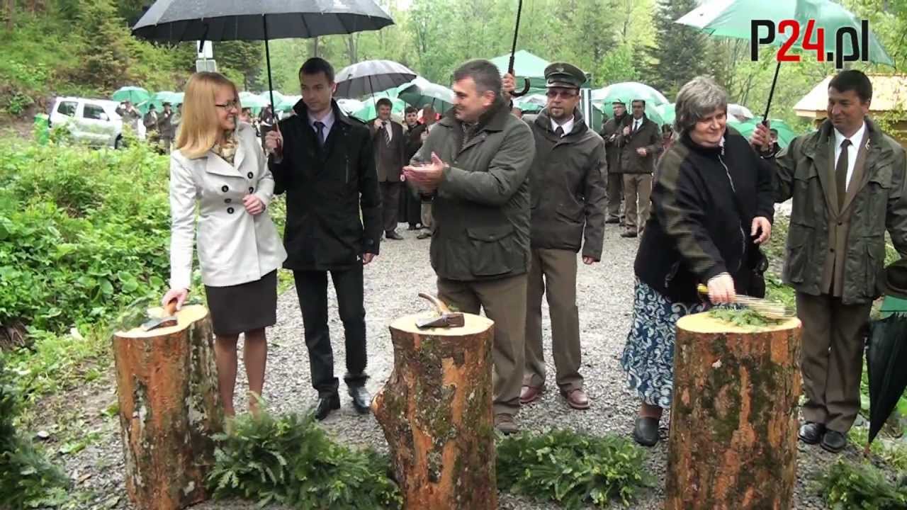 BIESZCZADY: Zagroda żubrów w Mucznem uroczyście otwarta - P24.pl