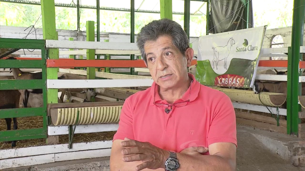 Cría de ovejas y cabras | La Finca de Hoy