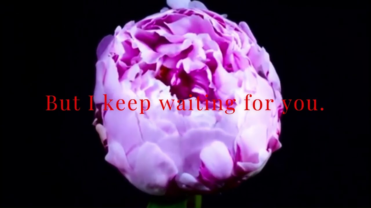 Yehoshua - Iris Hexagona (Lyrics Video)