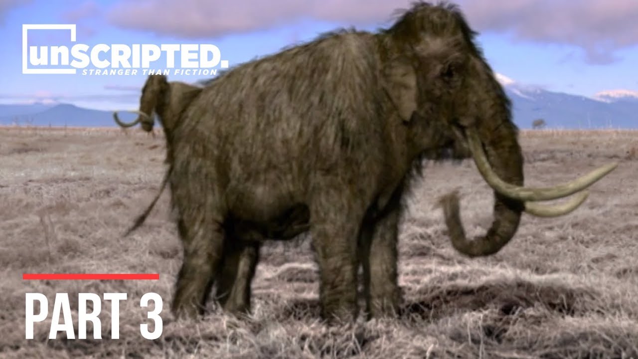 Scientists could potentially resurrect the Woolly Mammoth...But should they? | Extinct | Part 3