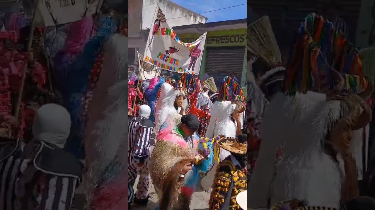 San Miguel Arcangel carnaval 2026 presente pie del cerro san bartolo tutotepec 