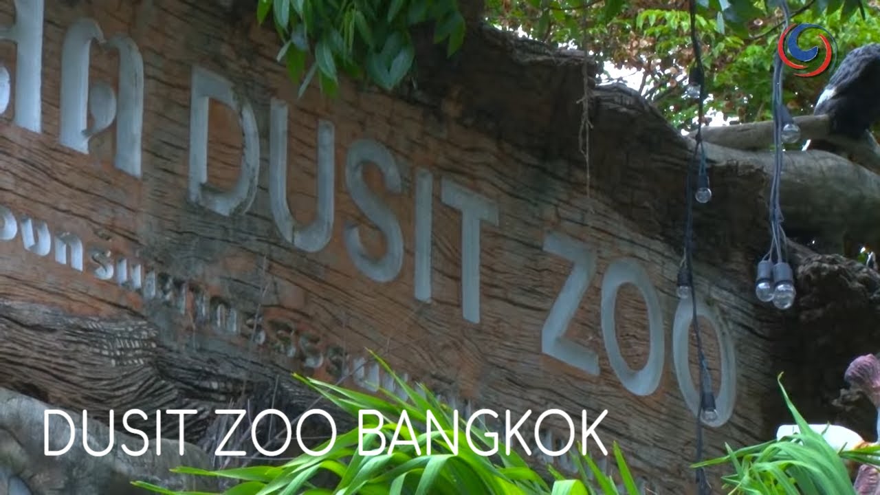 The Dusit Zoo Bangkok | A fabulous day out for the whole family!