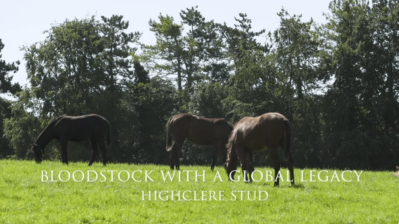 Bloodstock with a Global Legacy: Highclere Stud