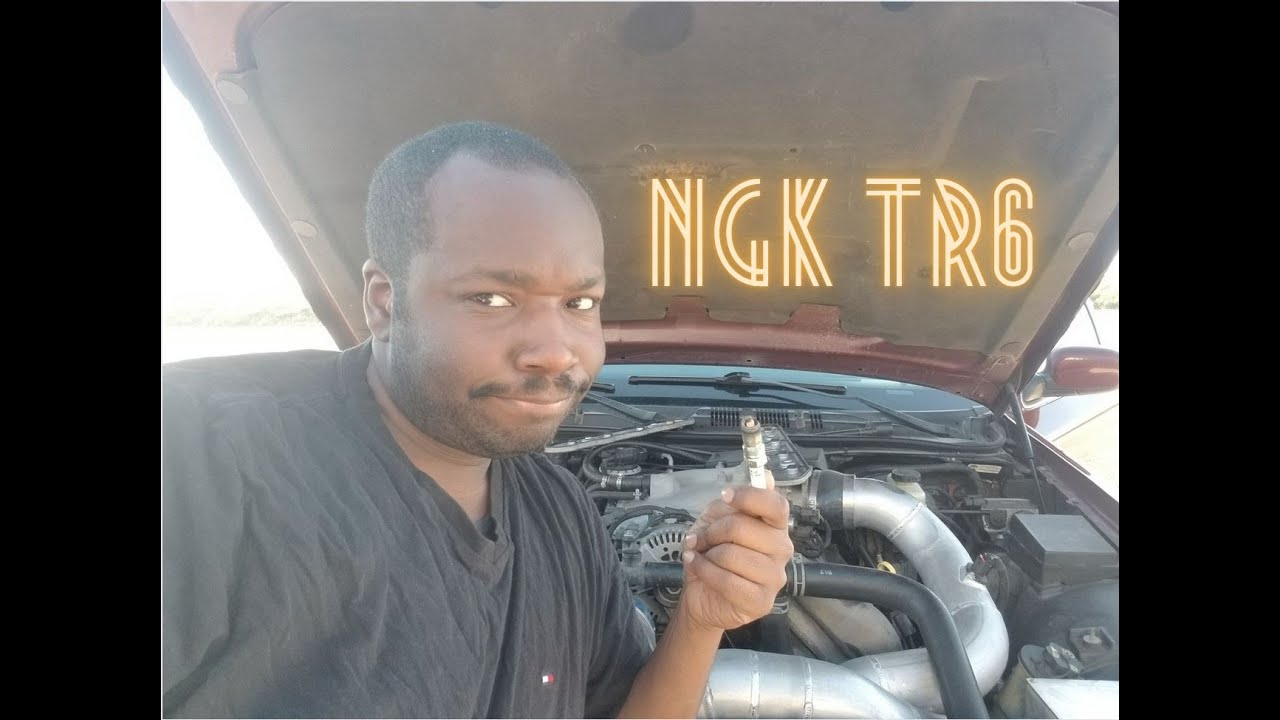 NGK TR6 Plugs  For Mustangs Marauders and Crown Vics