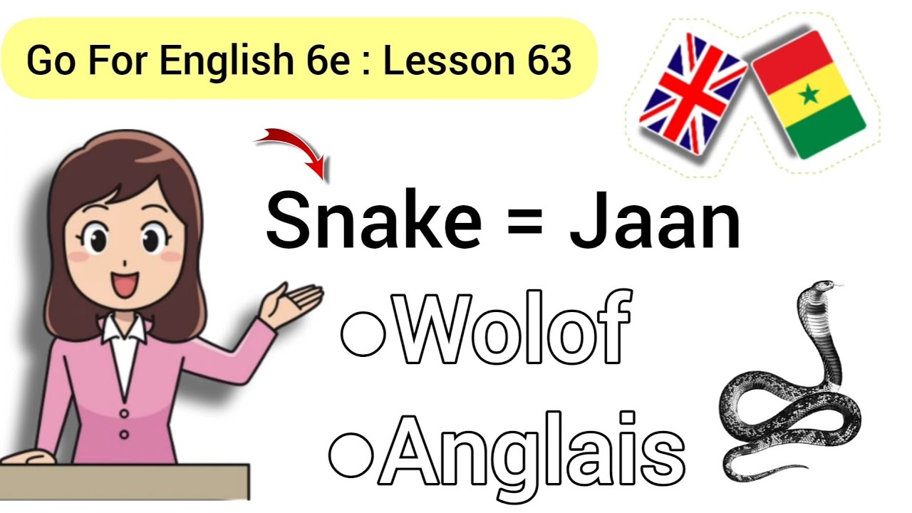 Go For English 6e| lesson:63 jàng Anglais | wolof anglais .