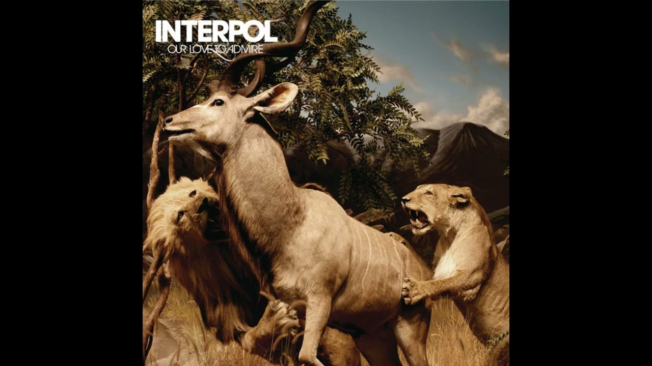 REST MY CHEMISTRY - Interpol (Guitar Backing Track with Vocals)