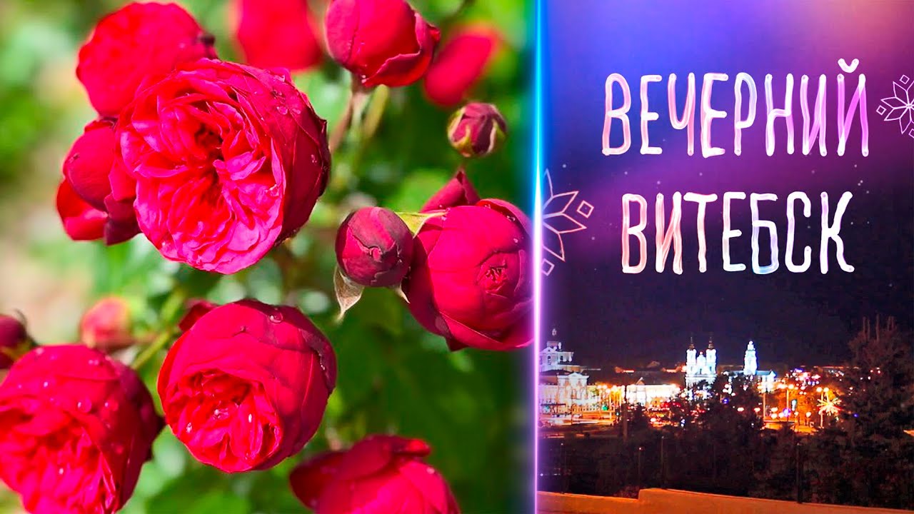 Вечерний Витебск. Цветоводство (04.02.2026)