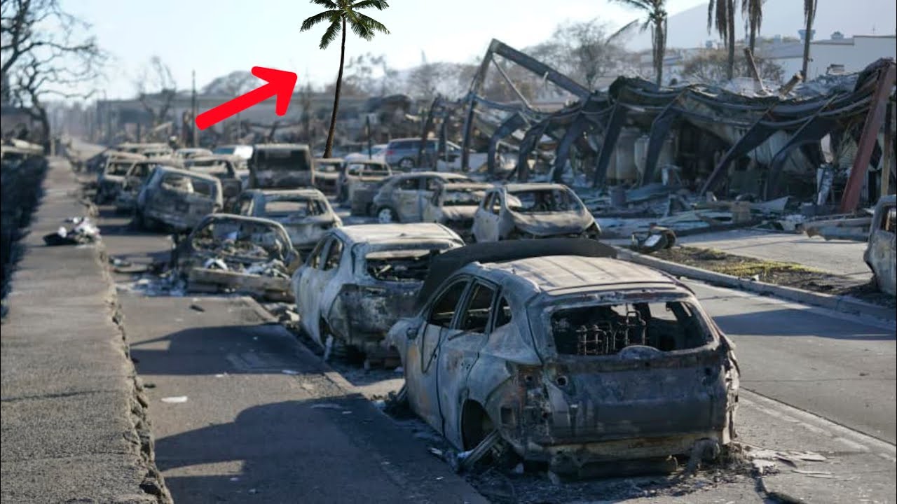 The Most Mysterious Fire - Maui, Hawaii 2023