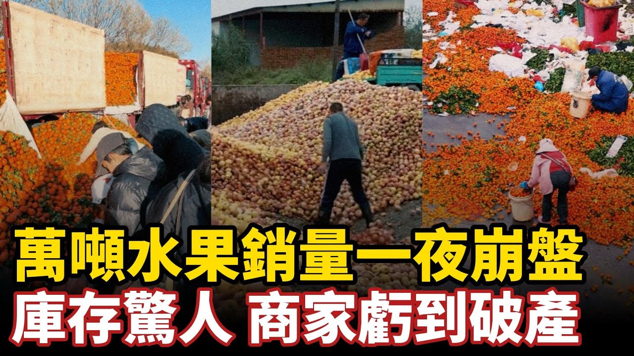 庫存驚人！萬噸水果銷量一夜崩盤，瘋狂增產種植如今日倒兩噸，商家虧到破產跪求收購，橘子蘋果甘蔗櫻桃價格跌破底線，農戶辛苦一年眼淚都哭乾#中国社会