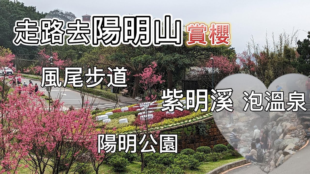 陽明山步道，紫明溪步道、風尾步道、十八挖水圳步道、大屯瀑布。走路去陽明山賞櫻，上陽明山，探險羽衣圳，至陽明公園，欣賞各種漂亮的櫻花，還有百年無患子。陽明山步道景點，紫明溪泡溫泉、泡腳。