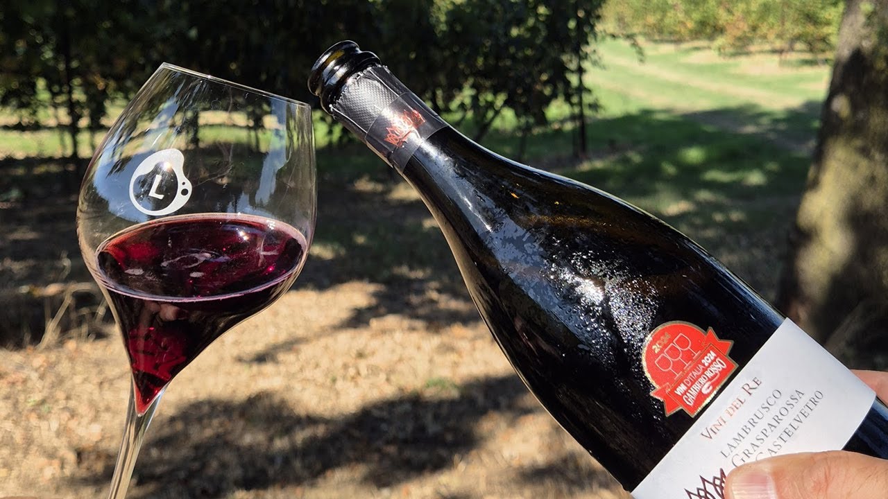 Castelvetro: alla scoperta del Lambrusco Grasparossa