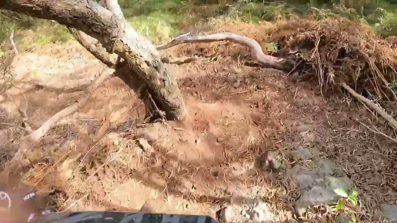 Megavalanche la réunion 2024 Winning run 🥇Pigeon Hugo