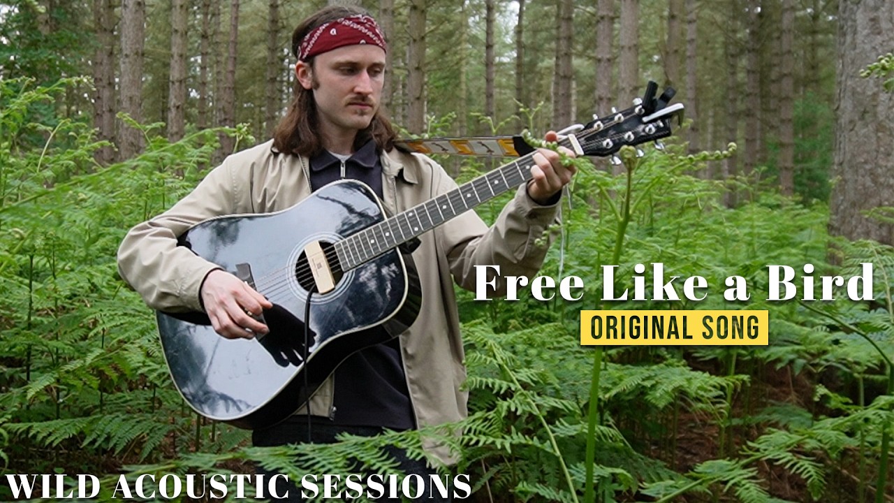 Free Like a Bird - Jack Stephenson | Wild Acoustic Sessions