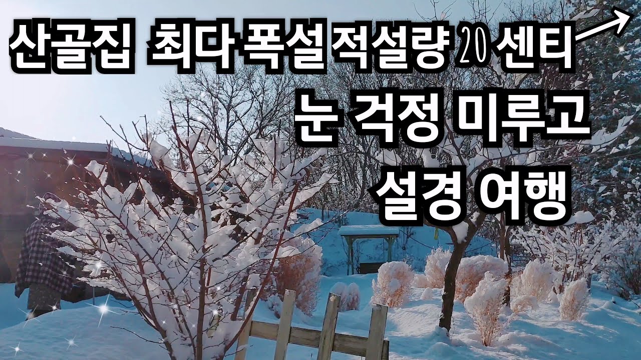 올 겨울 최다 폭설 온 산골집 아침, 눈 걱정은 미루고 눈풍경 도보 여행