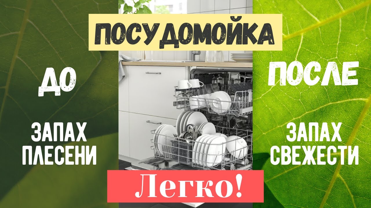 Неприятный запах в посудомоечной машине: как убрать и не допустить снова