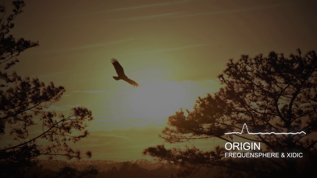 Frequensphere & Xidic - Origin