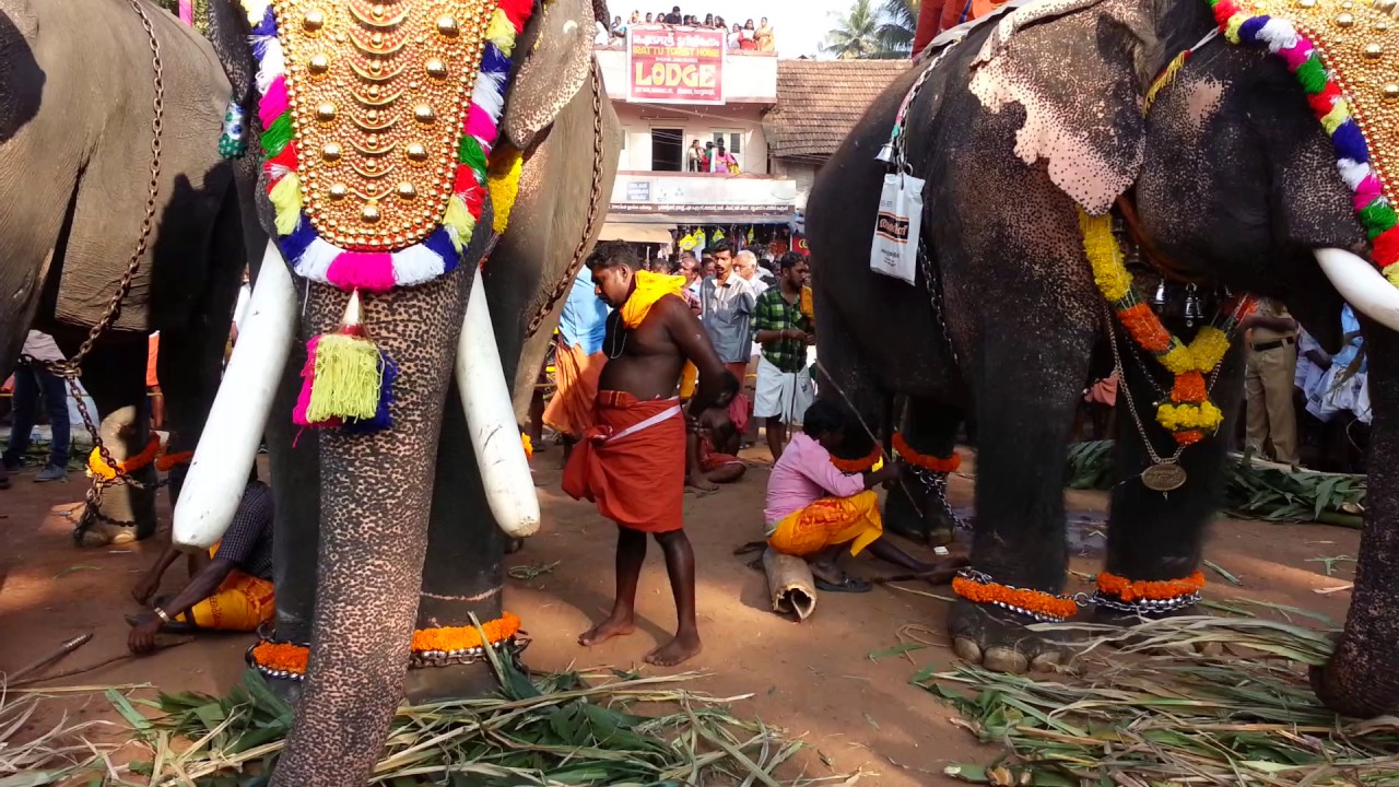 Kodungallur Thalapoli 2017