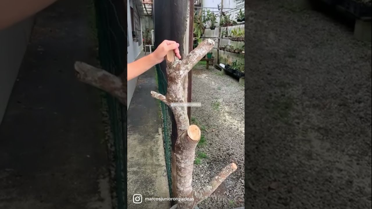 Dica de arranjo em MADEIRA para PLANTAR ORQU&Iacute;DEAS