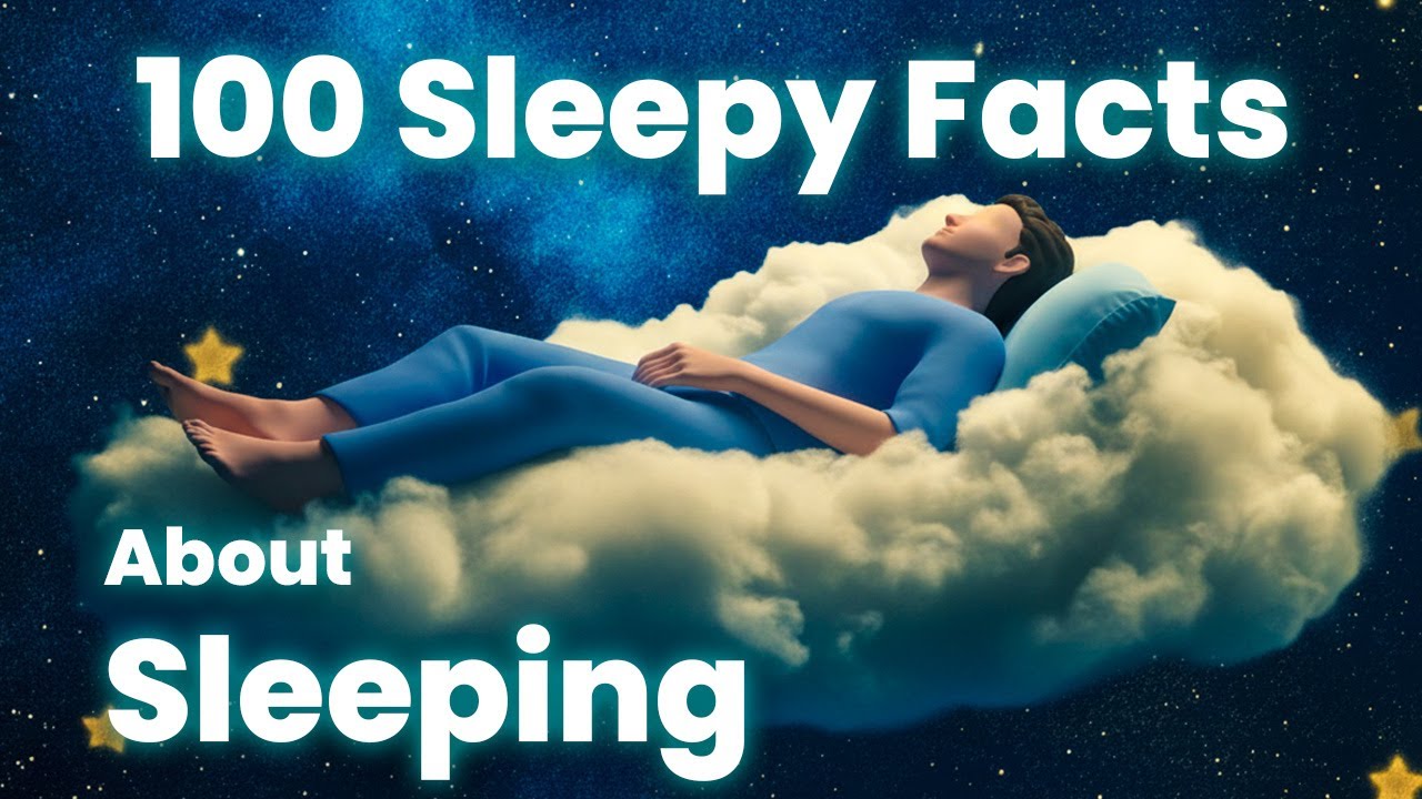 What Really Happens When You Sleep
