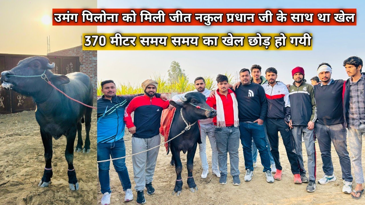 उमंग पिलोना को मिली जीत नकुल प्रधान जी के साथ था खेल 370 मीटर दूरी का छोड़ हो गयी विजेता उमंग पिलोना