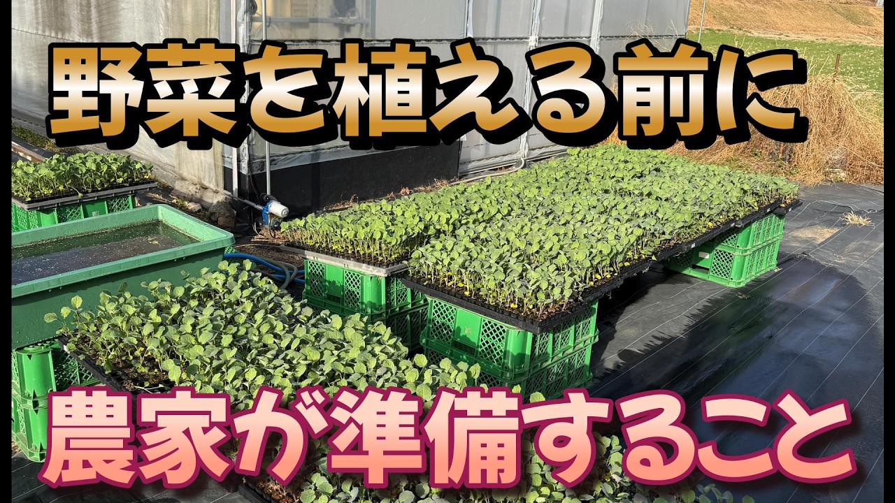 野菜を植える前に農家が必ずすること！植える前にも沢山仕事があります