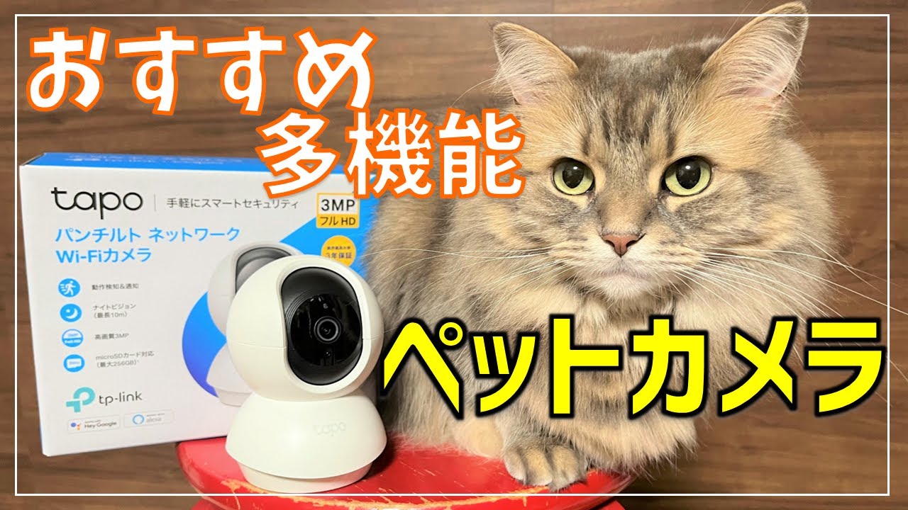 【ペットカメラ】留守中のペットの様子を見守りできるコスパ最強のカメラをレビュー！【tp-link Tapo C210】