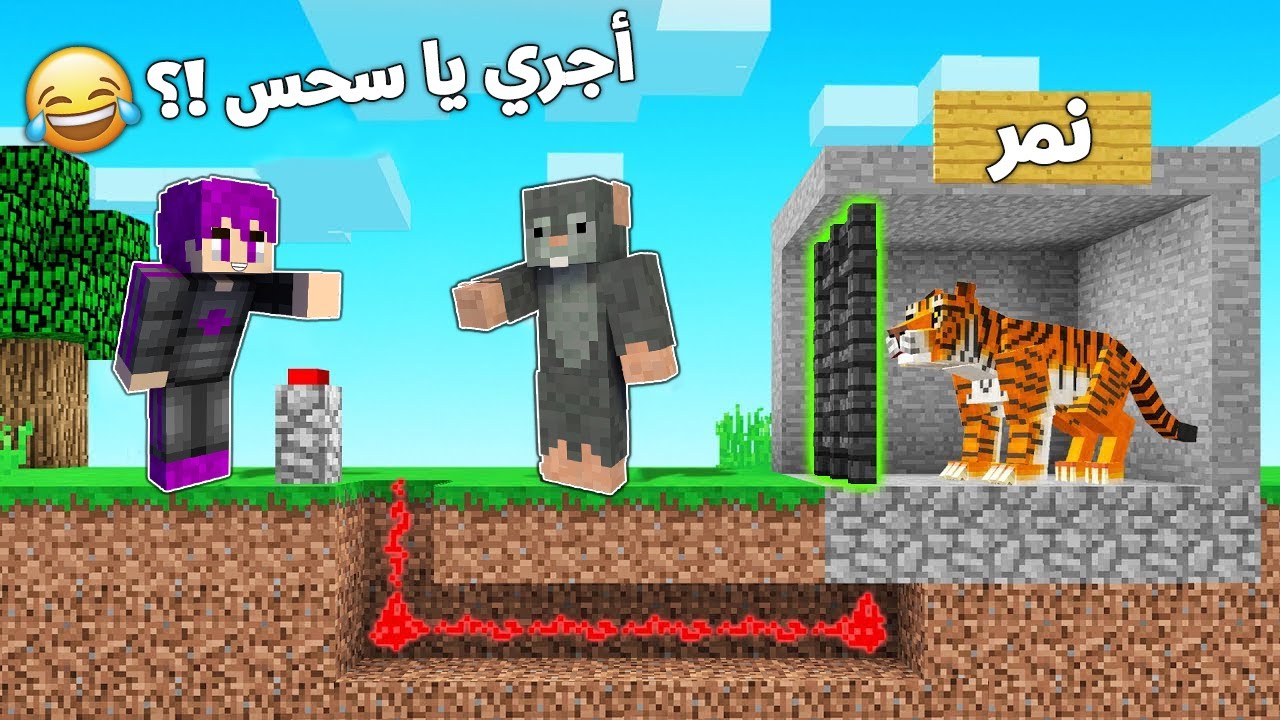 مقلب سجنت صديقي النوب مع النمر المفترس (ألفار) ضحك.. في ماين كرافت 🤣