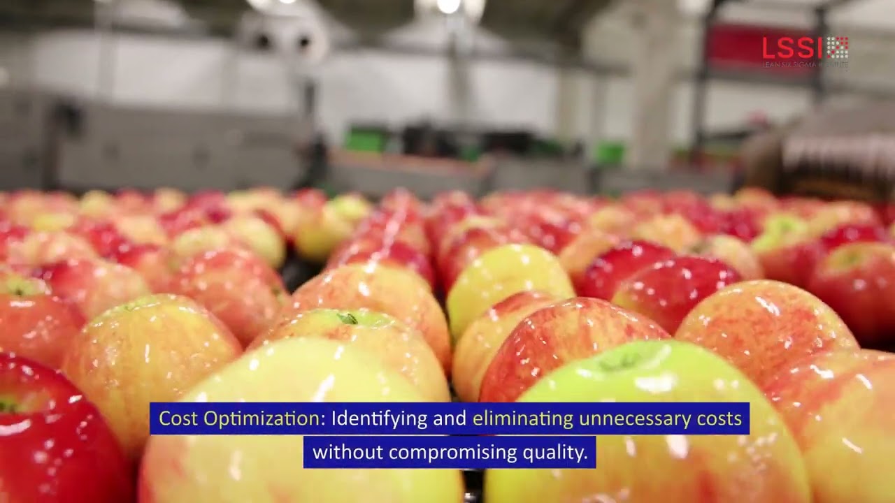 Lean Six Sigma for the Food and Beverage Industry