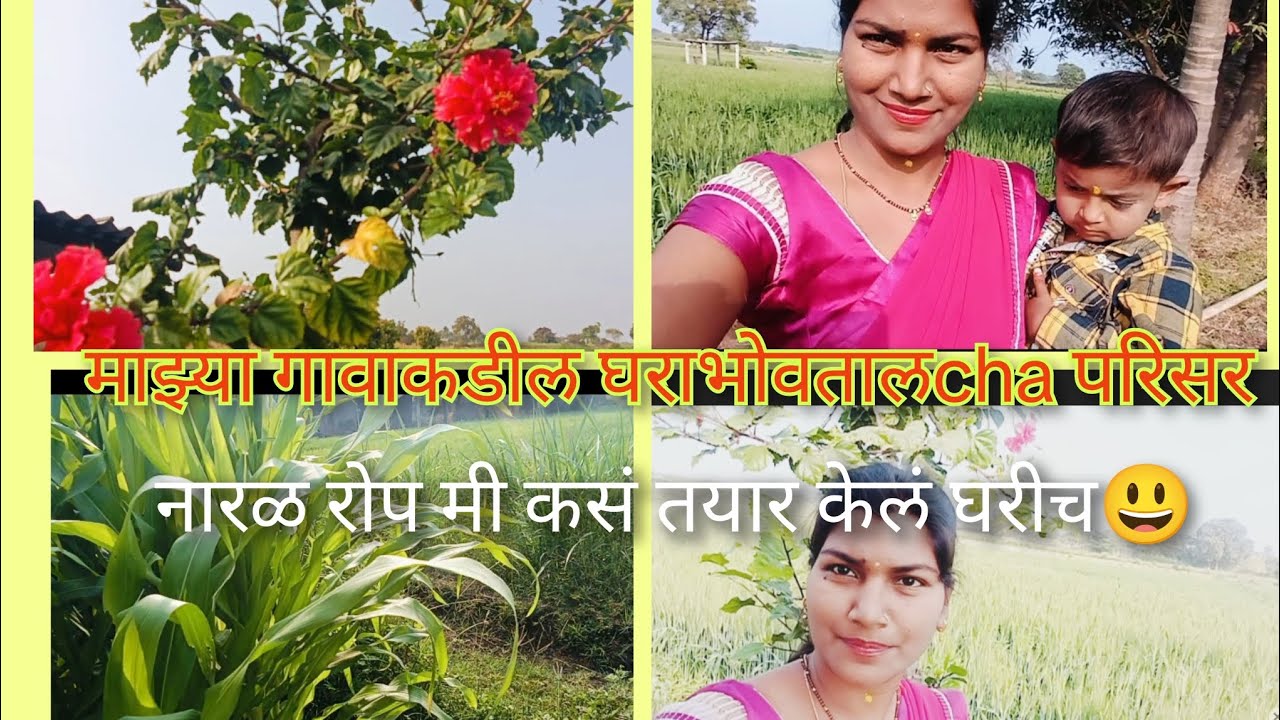 गावाकडील घराभोवतलचा परिसर # मी नारळ रोप कसं तयार केलं 😃 गावाकडील ब्लॉग