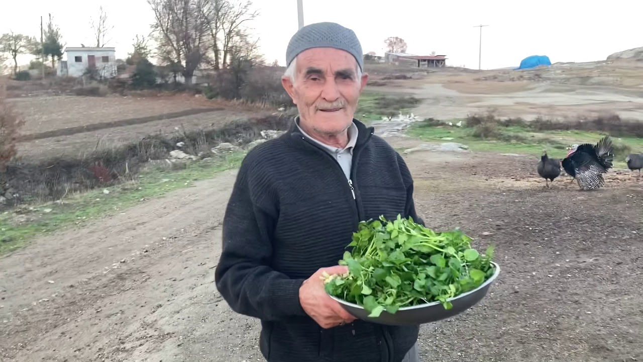 Gerdeme, Kazayağı, İster Elinde Ye, İster Salatasını Yap. Köyde Babamla Gerdeme, Kazayağı topladık